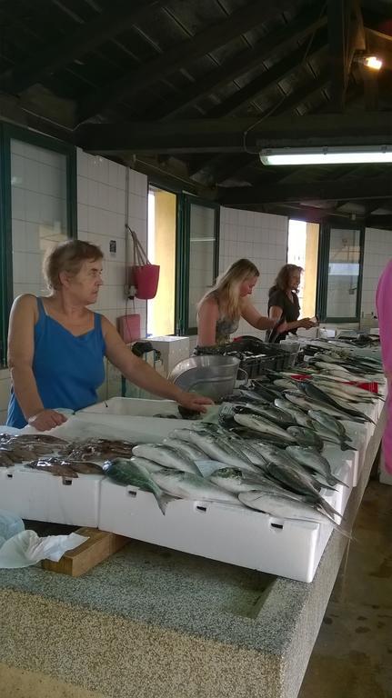 Apartman Noni Biograd Na Moru Bagian luar foto